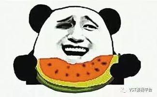 群众吃瓜文章,揭秘群众吃瓜背后的真相与趣味