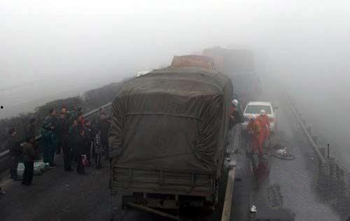 河北石家庄吃瓜群众事件,网络舆论的风暴与反思