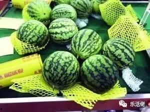 铁观音吃瓜群众,吃瓜群众品鉴茶韵人生