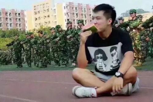 林冉吃瓜群众,吃瓜群众的视角，揭秘娱乐圈风云