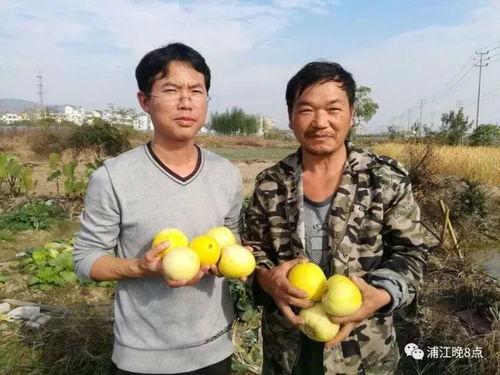 吃瓜群众6677,网络红人的崛起之路