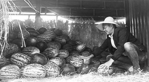 钟楼吃瓜群众,吃瓜群众的欢乐时光