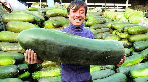 吃瓜群众减肥很有效,轻松瘦身，健康生活