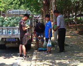 沂南吃瓜群众,揭秘当地独特饮食文化