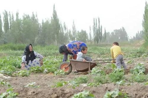 松阳吃瓜群众案件最新,真相大白,网络谣言的法治反思