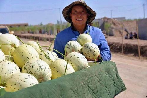 朕只想当个吃瓜群众