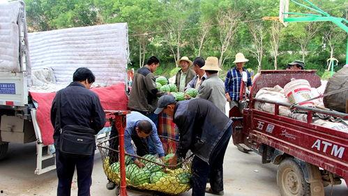 通渭县吃瓜群众案件,揭秘网络谣言背后的真相