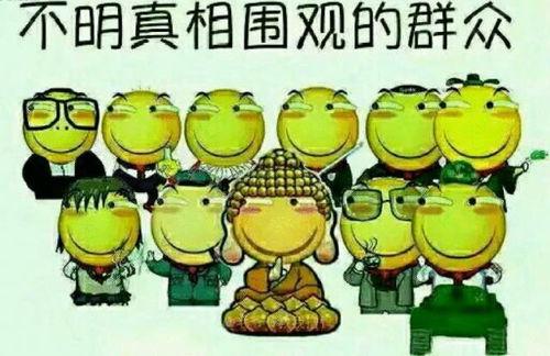 吃瓜群众群聊推荐,吃瓜群众群聊推荐的美食盛宴