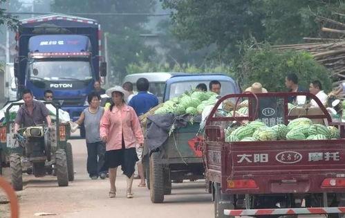 平城区吃瓜群众是谁,揭秘网络热词背后的故事